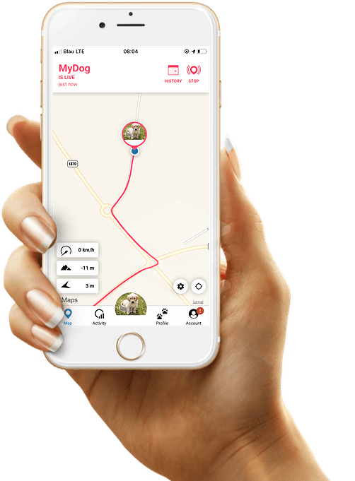 GPS track during real-time positioning gps live track during real time positioning