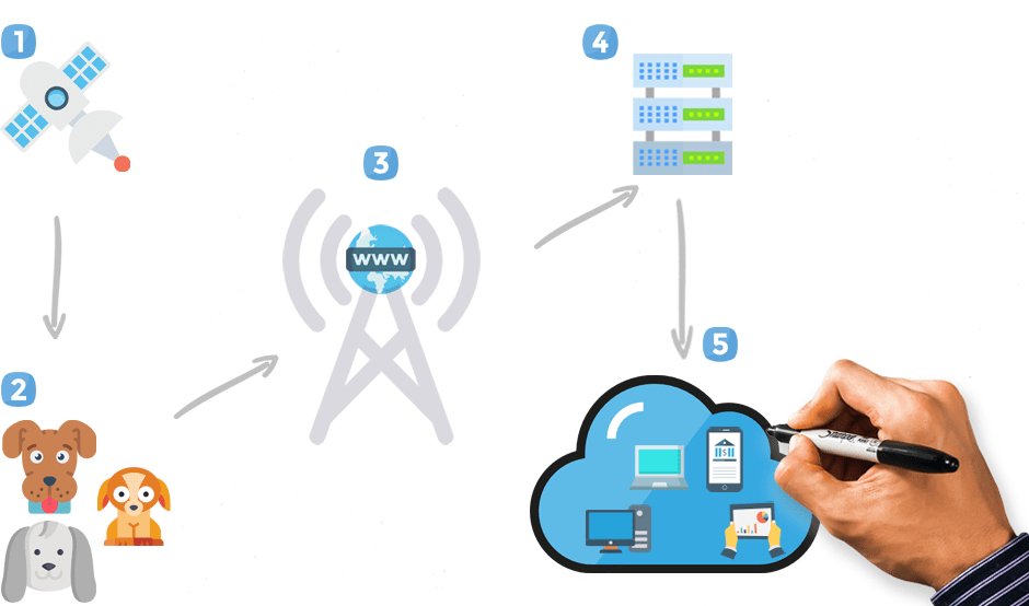 How does GPS tracking work for dogs with Tractive? how does gps tracker dogs work